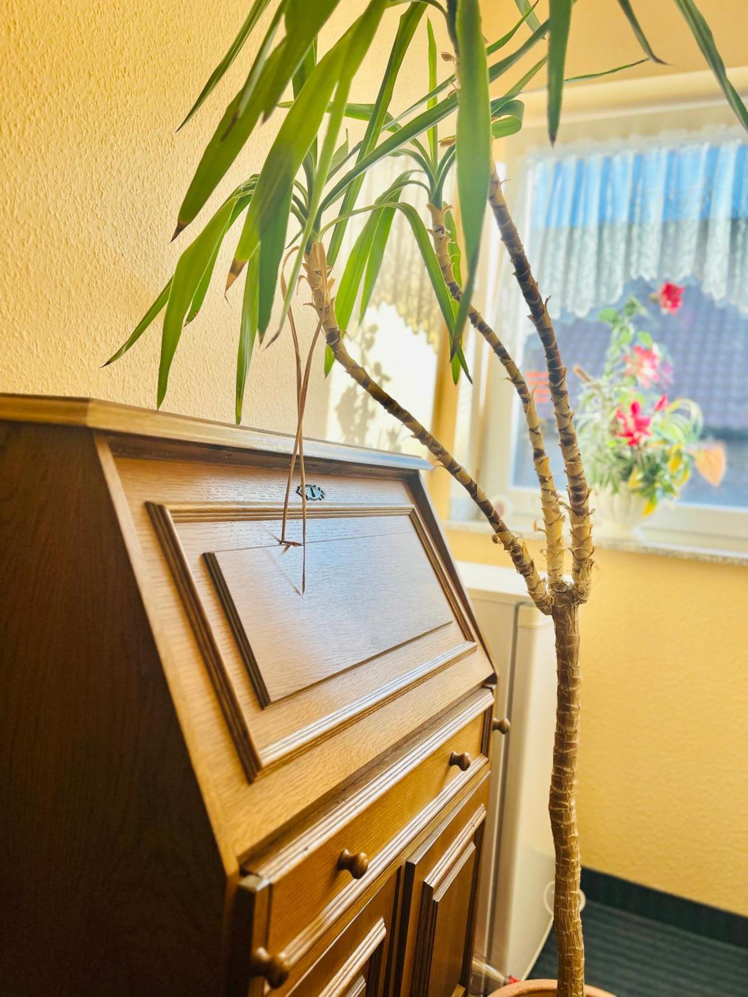 Tm Hotel Westfalen Lünen Екстериор снимка